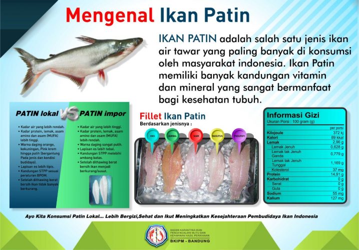 Leaflet untuk membedakan ikan dori lokal dan impor yang dikeluarkan oleh BKIPM