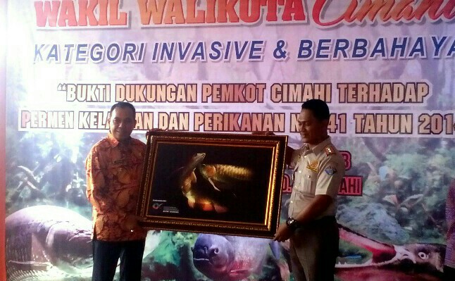 Disela acara serah terima ikan peliharaan milik Wakil Walikota Cimahi Ngatiyana kepada BKIPM Bandung, dilakukan pemberian cinderamata dari BKIPM Bandung kepada Wakil Walikota Cimahi