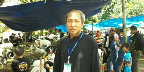Pendi, Ketua Panitia Ketangkasan Domba di BWP Kota Banjar.