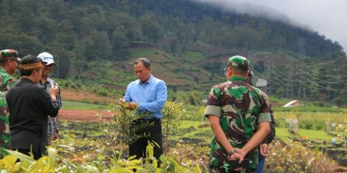 Pangdam Siliwangi Mayjen TNI Besar Harto Karyawan saat meninjau lokasi pembibitan pohon di Desa Tarumajaya, Kecamatan Kertasari, Kabupaten Bandung