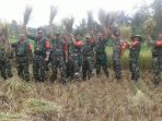 Danramil Turun ke Sawah Bantu Petani Panen Perdana