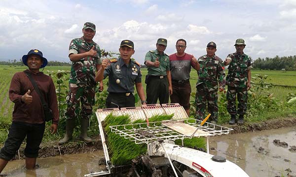 Kodim 0824 Turun Ke Sawah Berikan Motivasi Kepada Petani