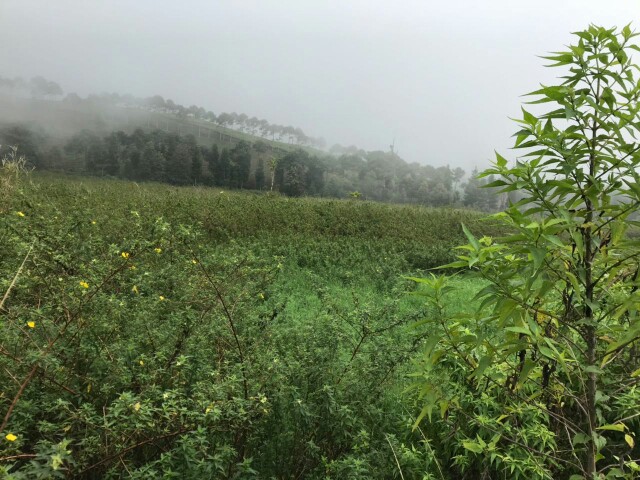 IMG-20180212-WA0118-640x480