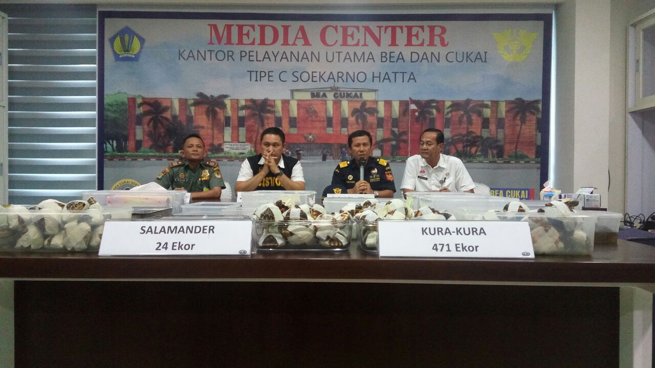 Acara Pers Conference di Kantor Bea Cukai Soetta terkait Penegahan Satwa Jenis Kura - Kura oleh Bea dan Cukai Bandara Soekarno Hatta, di Media Center Kantor Bea Cukai Bandara Soekarno Hatta