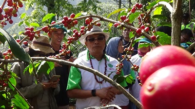 Ketua HKTI Jend. TNI (Purn) Moeldoko saat mengunjungi kebun kopi Puntang Kecamatan Cimaung, Kabupaten Bandung.