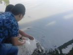 Bentuk Kepedulian Terhadap Lingkungan PT Tridayamas Sebar Ikan Di Jembatan Biru