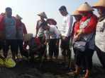 Ibnu Darmawan memberikan contoh menanam mangrove yang benar pada relawan pendukung Joko Widodo-Ma'ruf Amin