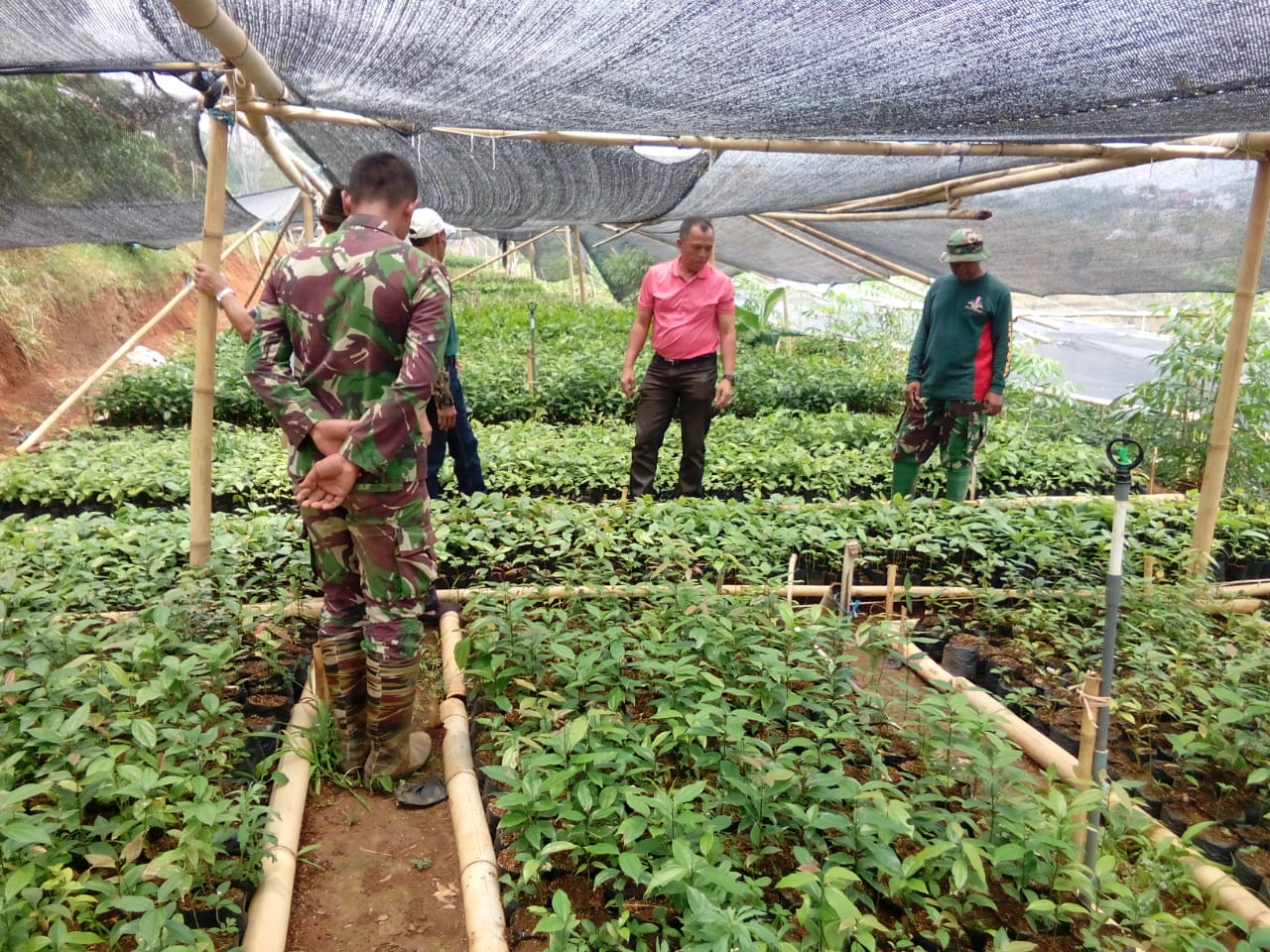 Pangdam III/Siliwangi Tinjau Kebun Pembibitan Sektor 22 Satgas Citarum Di Dago