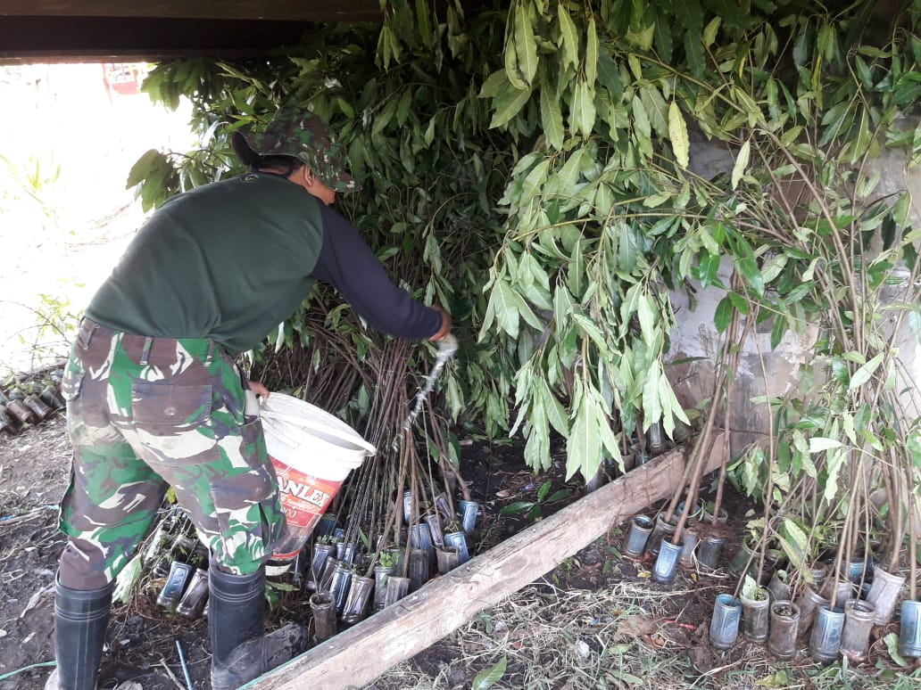 Setelah Berbunga Matahari, Kini Bantaran Cipamokolan Siap Tumbuhkan Pohon Loa Setelah Berbunga Matahari, Kini Bantaran Cipamokolan Siap Tumbuhkan Pohon Loa