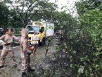 Anggota Dit Samapta Polda Jabar Evakuasi Pohon Tumbang Di Jalan Soekarno Hatta