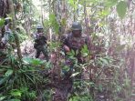 Satgas Yonif Raider 300 Brajawijaya Patroli Hutan Pos Yamara