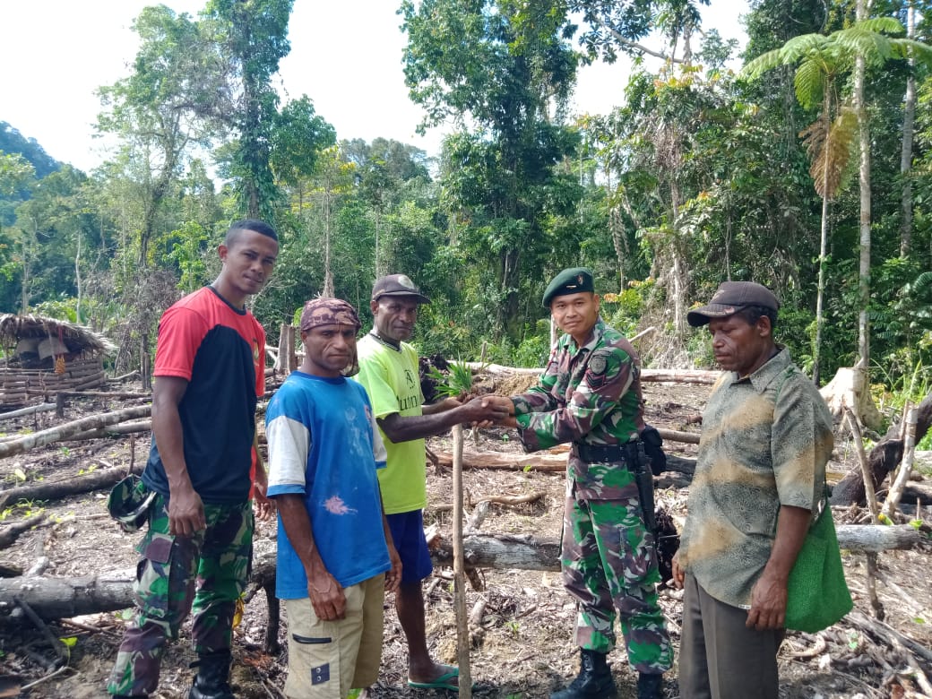 Satgas Yonif Raider 300 Berikan Benih Jagung Dan Benih Pinang Kepada Warga Di Kampung Pyawi