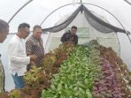 Kunjungi Urban Farming Bandung Hidromarket, Mang Oded Targetkan Kota Bandung Swasembada Sayur