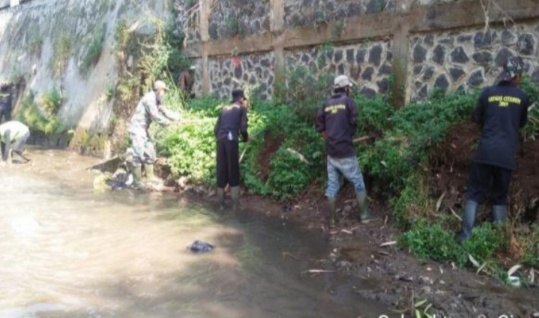 Ditumbuhi Rumput Liar, Satgas Citarum Sektor 21 Ciparay Kikis Sedimentasi Di Bantaran Dan Dinding Penahan Sungai
