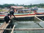 Jaga Kestabilan Pangan, Sat Brimob Polda Jabar Gandeng Masyarakat Budidaya Ikan Air Tawar