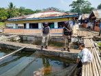 Bantu Perekonomian Warga Di Masa Pandemi, Sat Brimob Polda Jabar Budidaya Ikan Air Tawar Di Kampung Jangari Cianjur