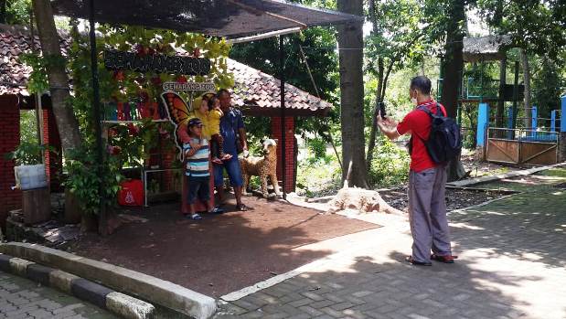 Sambut Lonjakan Pengunjung, Semarang Zoo Kebut Perbaikan Fasilitas
