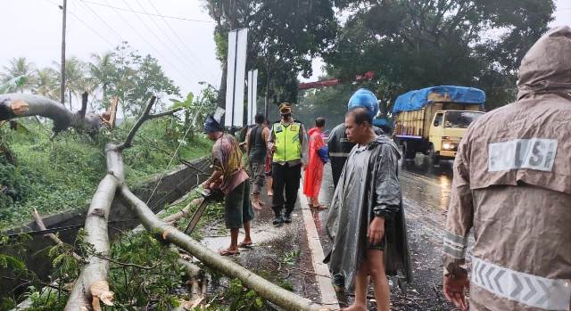 Pohon Tumbang Akibatkan Arus Lalin Jalan Raya Ciawi - Malangbong Tersendat