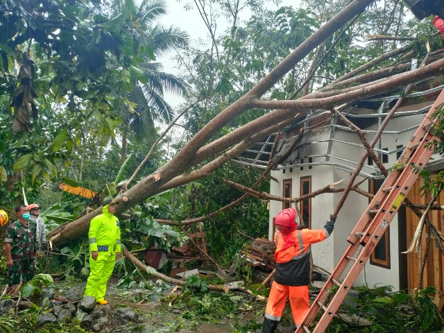 Timpa Sejumlah Rumah, Polri TNI Dan BPBD Evakuasi Pohon Tumbang Di Singkup Purbaratu