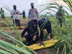 Unit Jibom Brimob Polda Jabar dan TNI Disposal Granat Manggis Temuan Warga