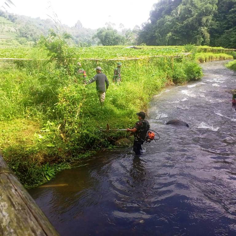 Satgas Citarum Sektor 21 Subsektor Soreang Babat Ilalang Bantaran Anak Sungai Ciwidey di Desa Mekarsari