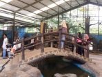 Semarang Zoo Fokus Siapkan Infrastruktur Bagi Pengunjung