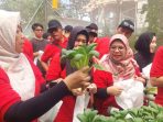 PT Kao Indonesia Kenalkan Sistem Berkebun Hidroponik Kepada Karyawan Pra Purnabhakti Ke Griya Hijau Bandung