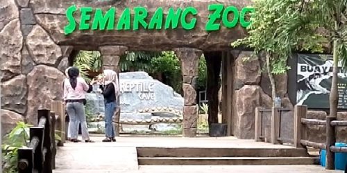 Reptil Cave pintu setelah masuk pemeriksaan tiket Semarang Zoo. Foto: rf/sorotindonesia.com