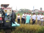 Dukung Swasembada Pangan, Kejagung dan Kementan Panen Raya di Lahan Sitaan Tambun