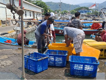 Produktivitas Rawai Layur dalam Perspektif Perikanan Skala Kecil